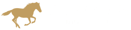 Champions Immobilien | Immobilienmakler Dresden - Dresden