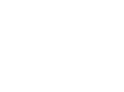 Lang Immobilien GmbH - Frankfurt am Main