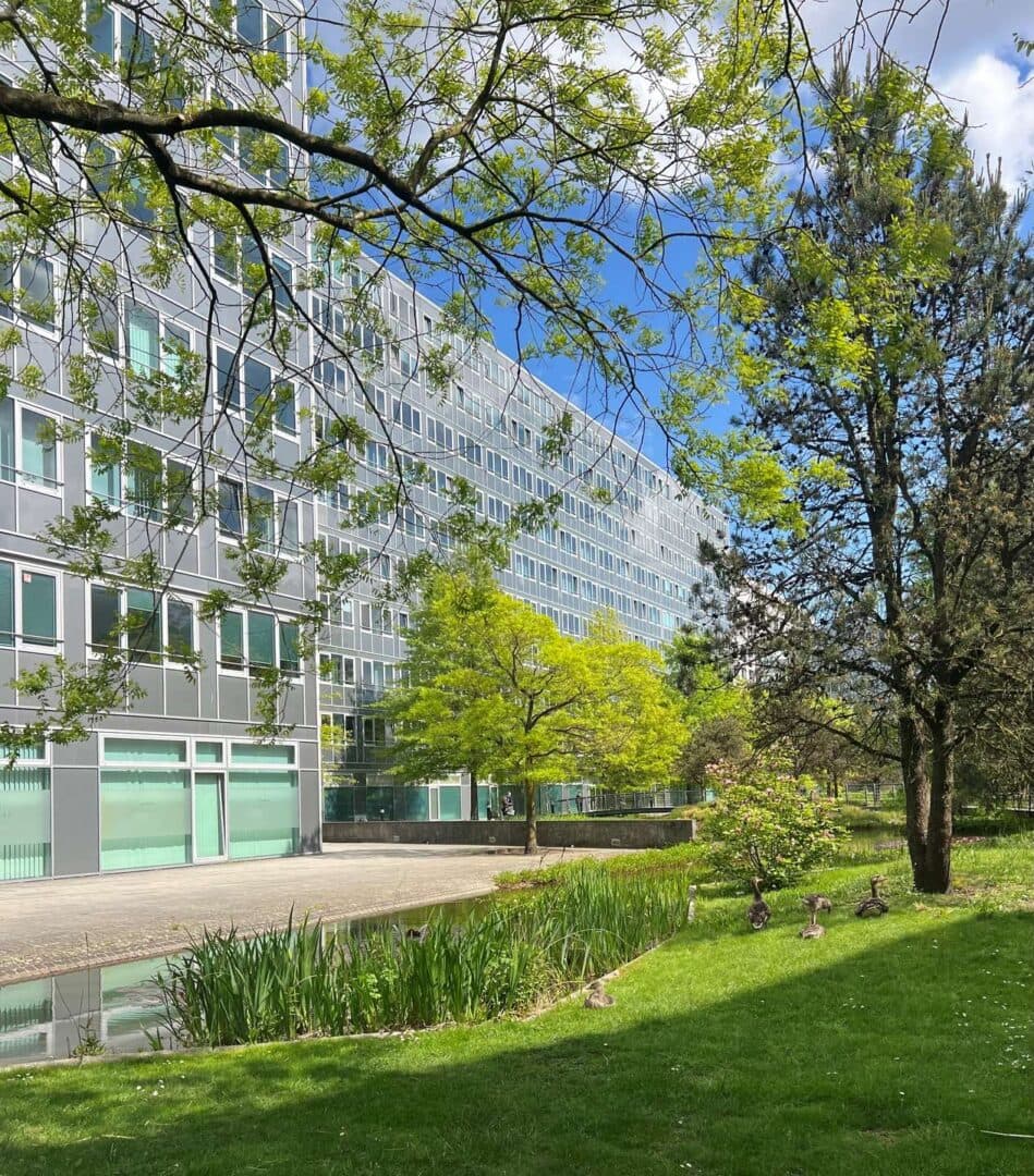 plus- WERT Immobilienmakler Anja Spieker - Neuss