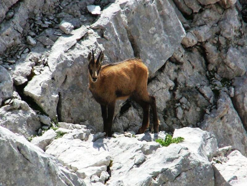 ROOMS4 Immobilien I Immobilienmakler - Immobiliensuche Südtirol - München