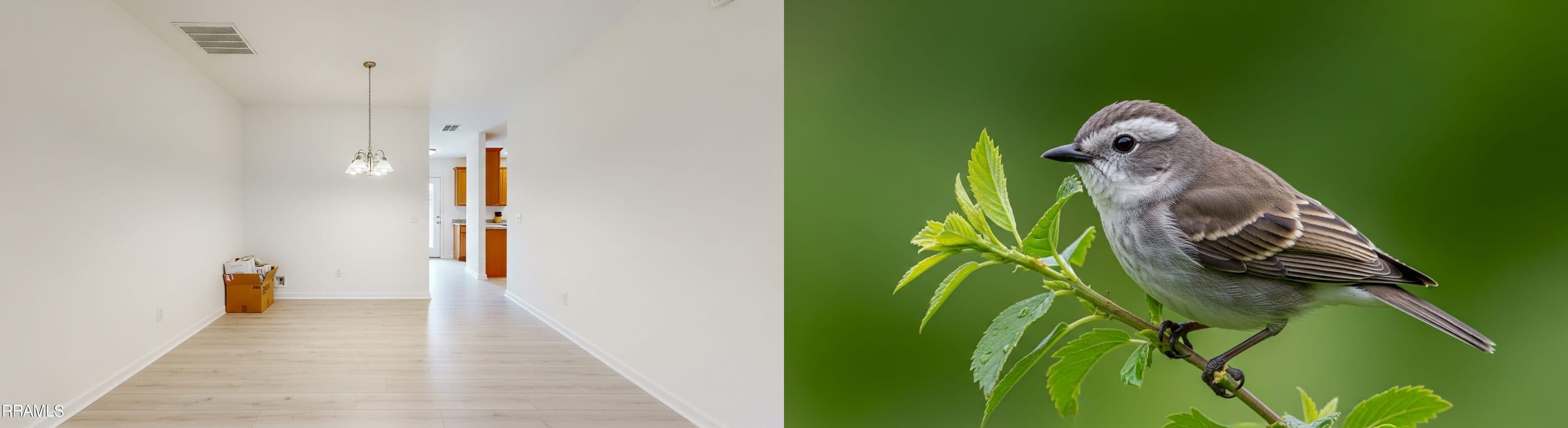 Dining Area (Open Concept): before vs after virtual staging